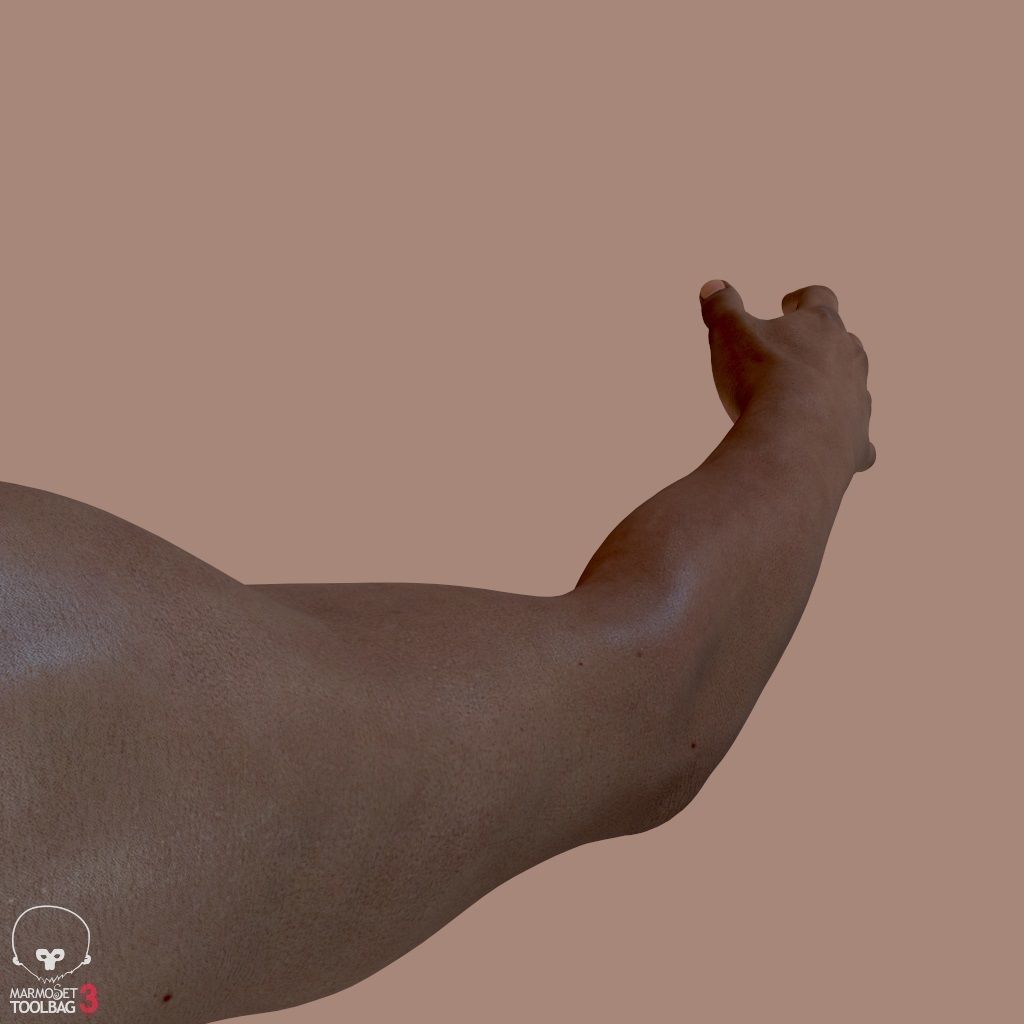 First Person Arms Low-poly 3D model_17