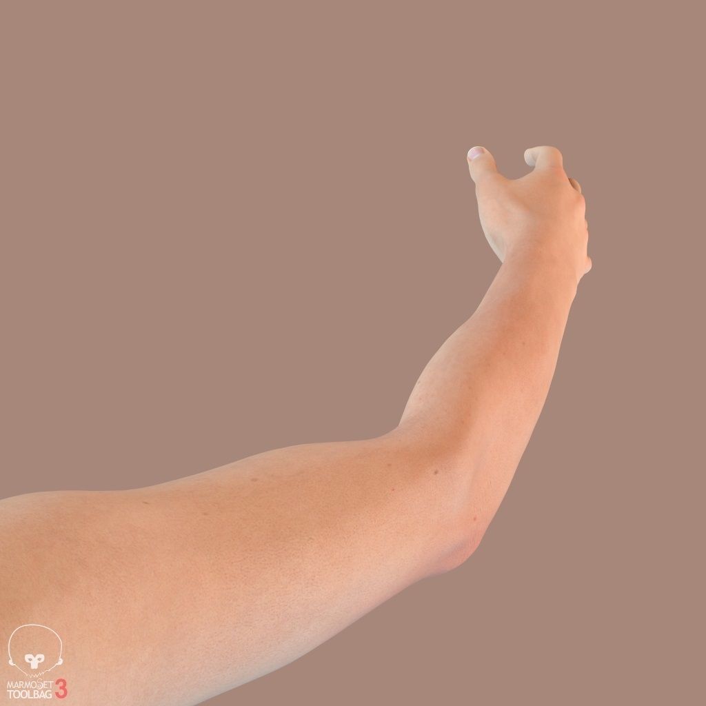 First Person Arms Low-poly 3D model_33