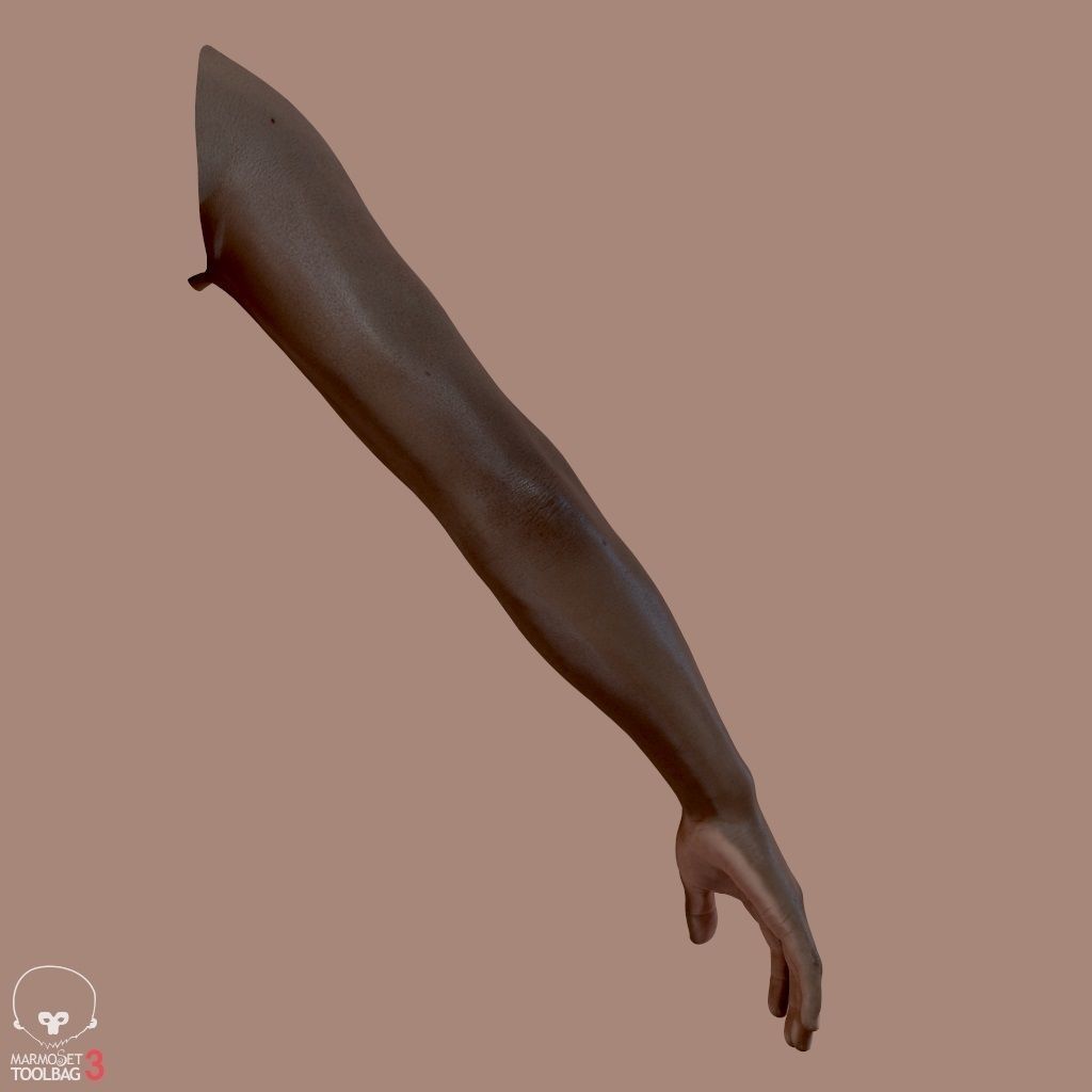 First Person Arms Low-poly 3D model_9