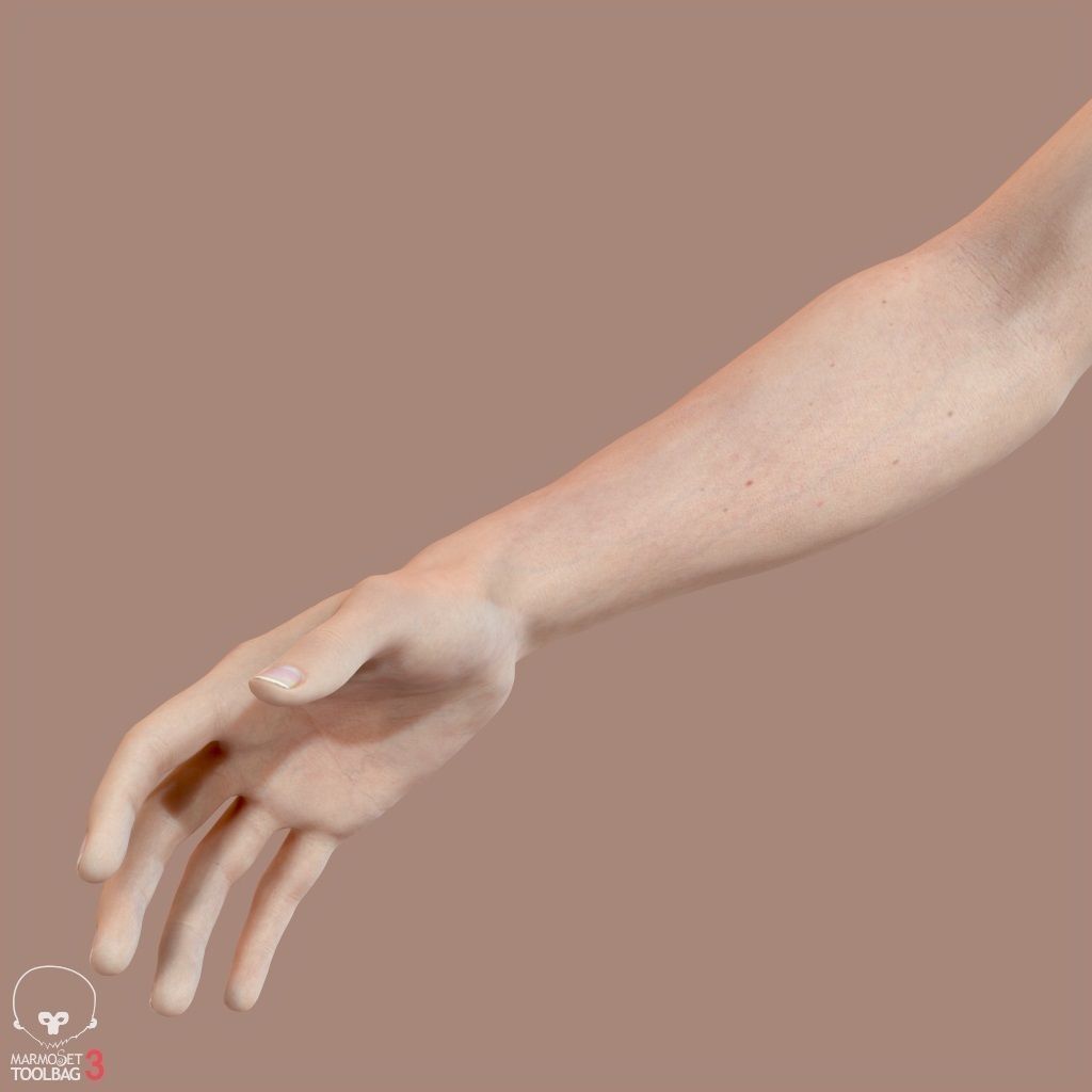 First Person Arms Low-poly 3D model_30