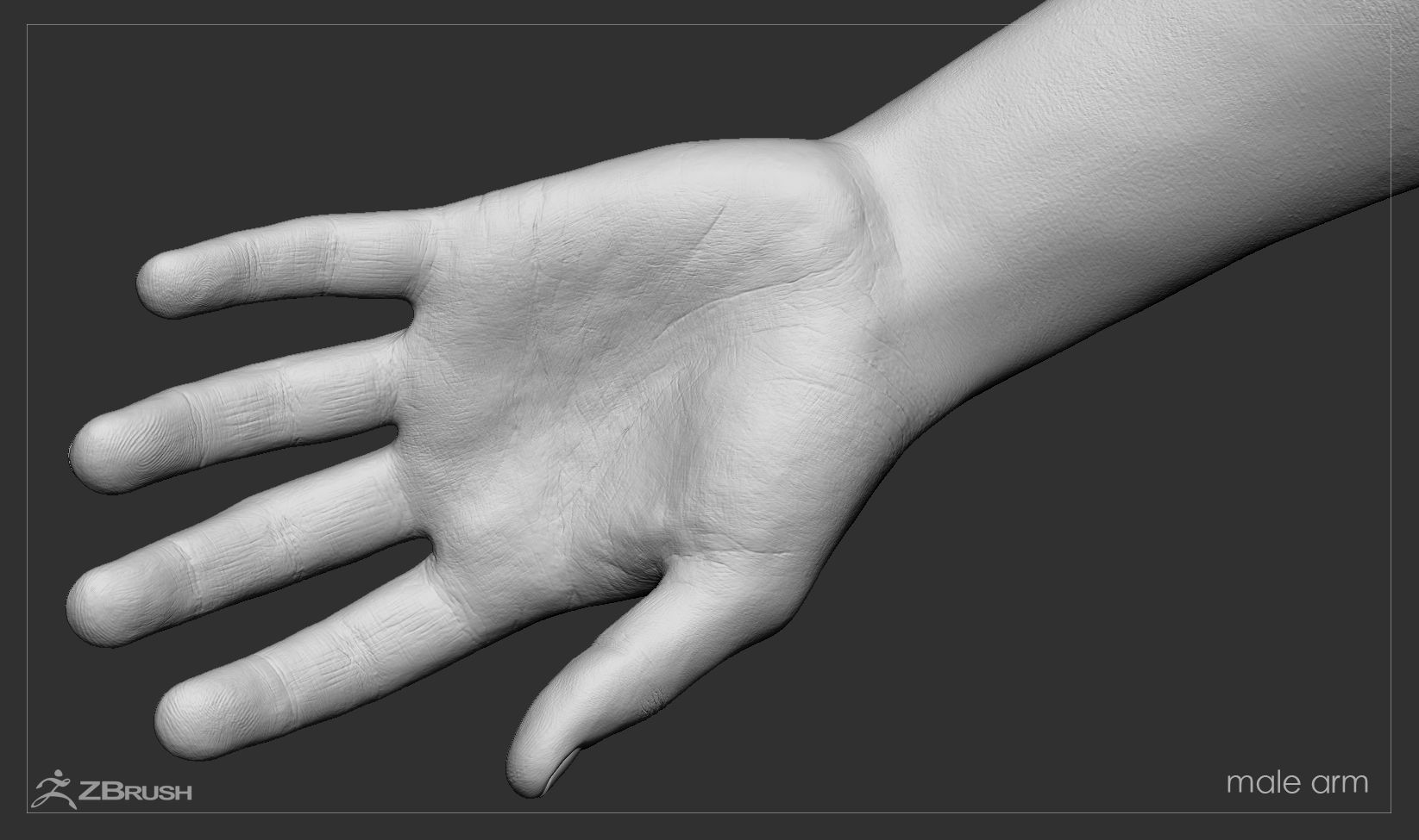 First Person Arms Low-poly 3D model_52