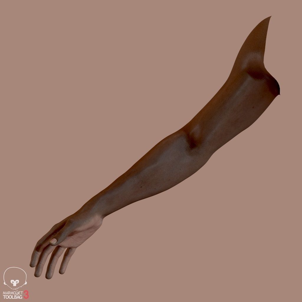 First Person Arms Low-poly 3D model_6