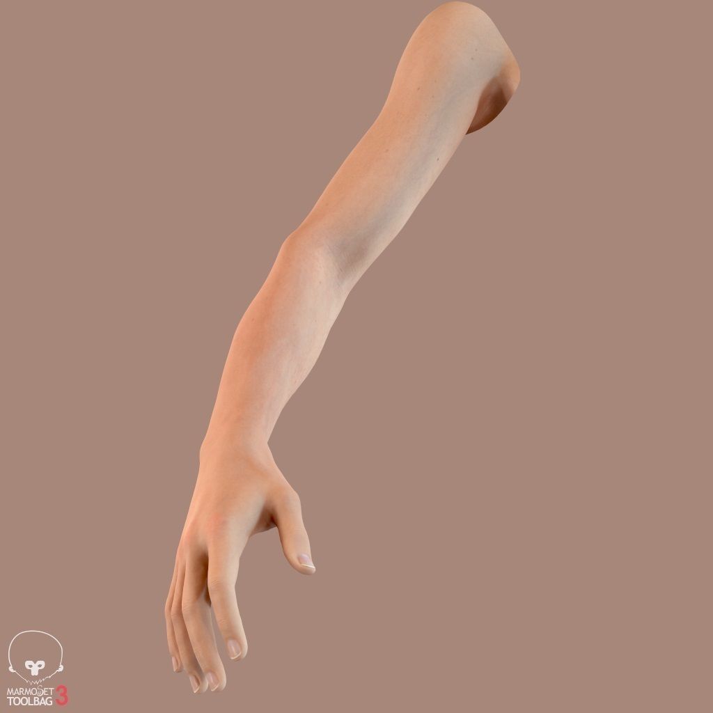 First Person Arms Low-poly 3D model_22