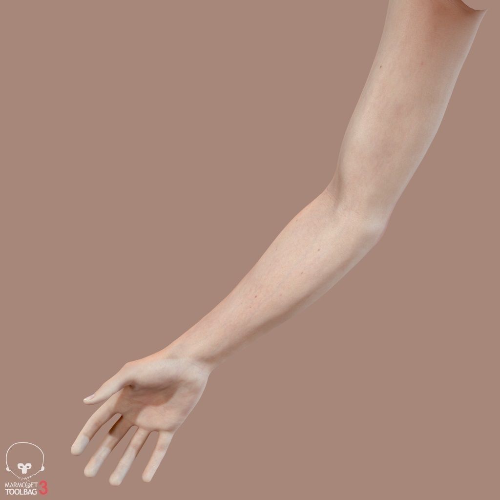 First Person Arms Low-poly 3D model_24