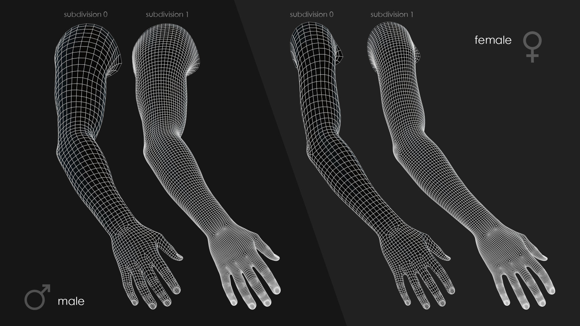 First Person Arms Low-poly 3D model_35