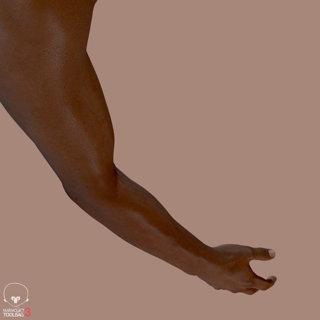 First Person Arms Low-poly 3D model_19