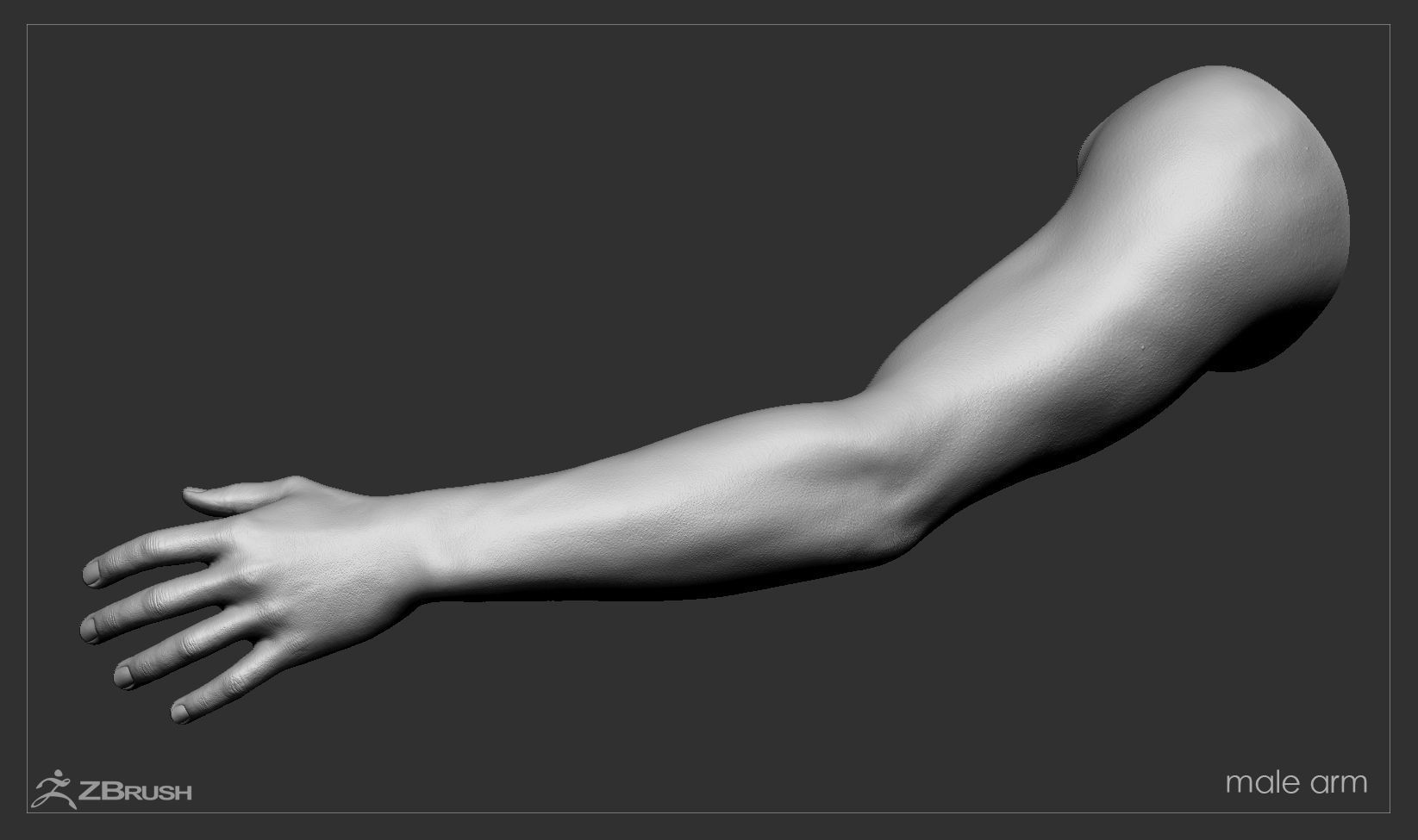 First Person Arms Low-poly 3D model_47