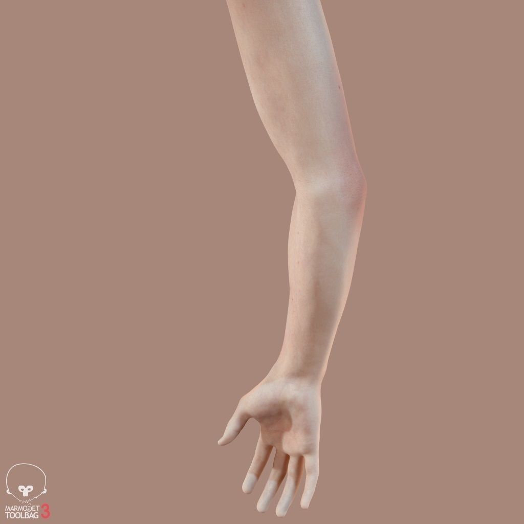 First Person Arms Low-poly 3D model_25