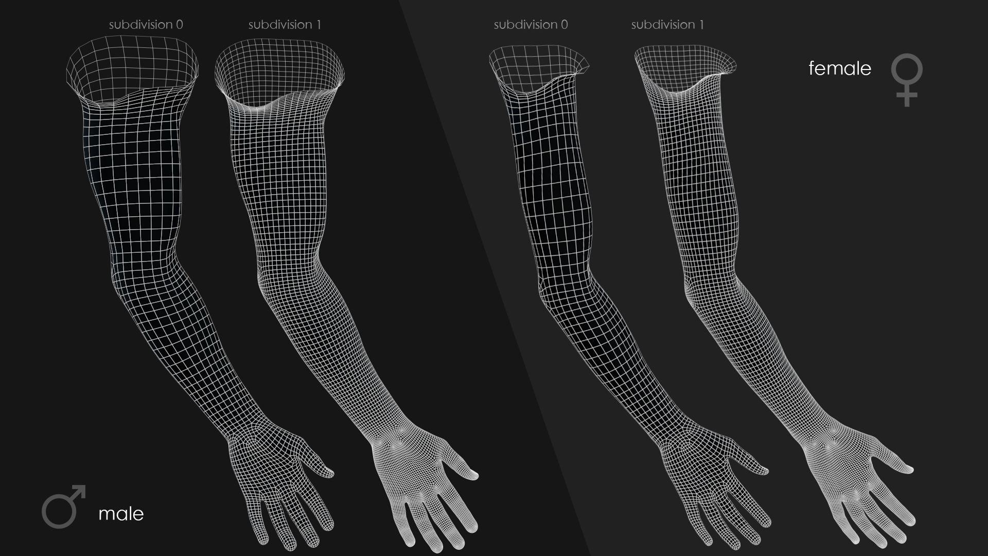 First Person Arms Low-poly 3D model_36