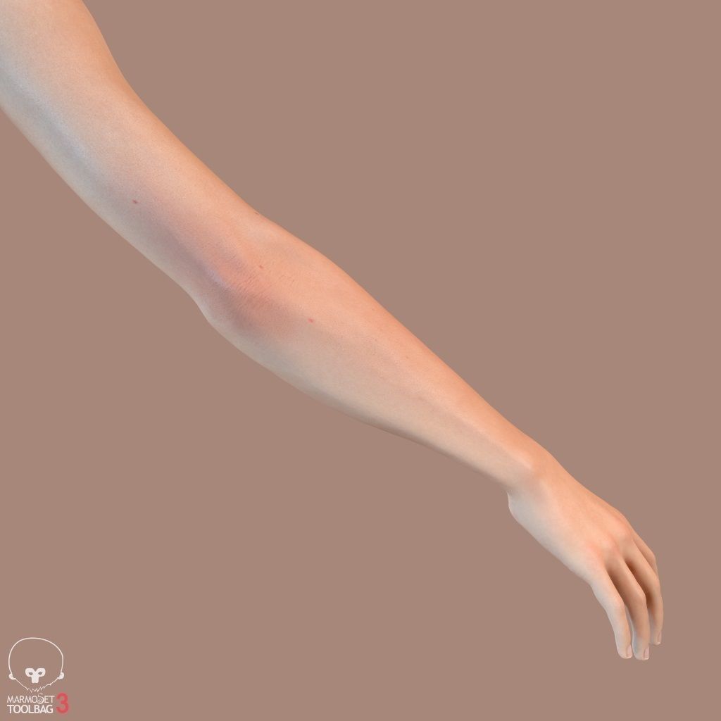 First Person Arms Low-poly 3D model_26