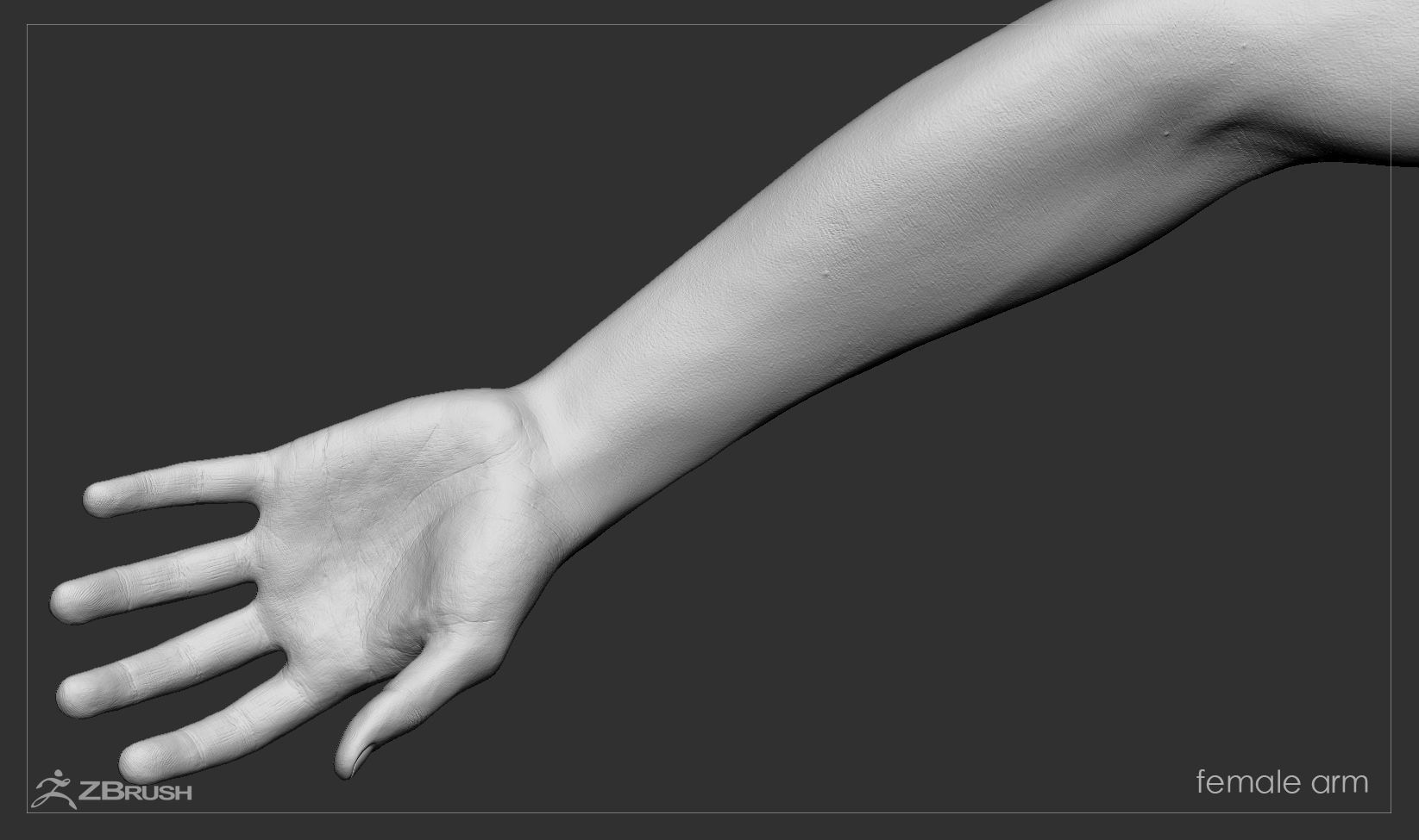 First Person Arms Low-poly 3D model_42