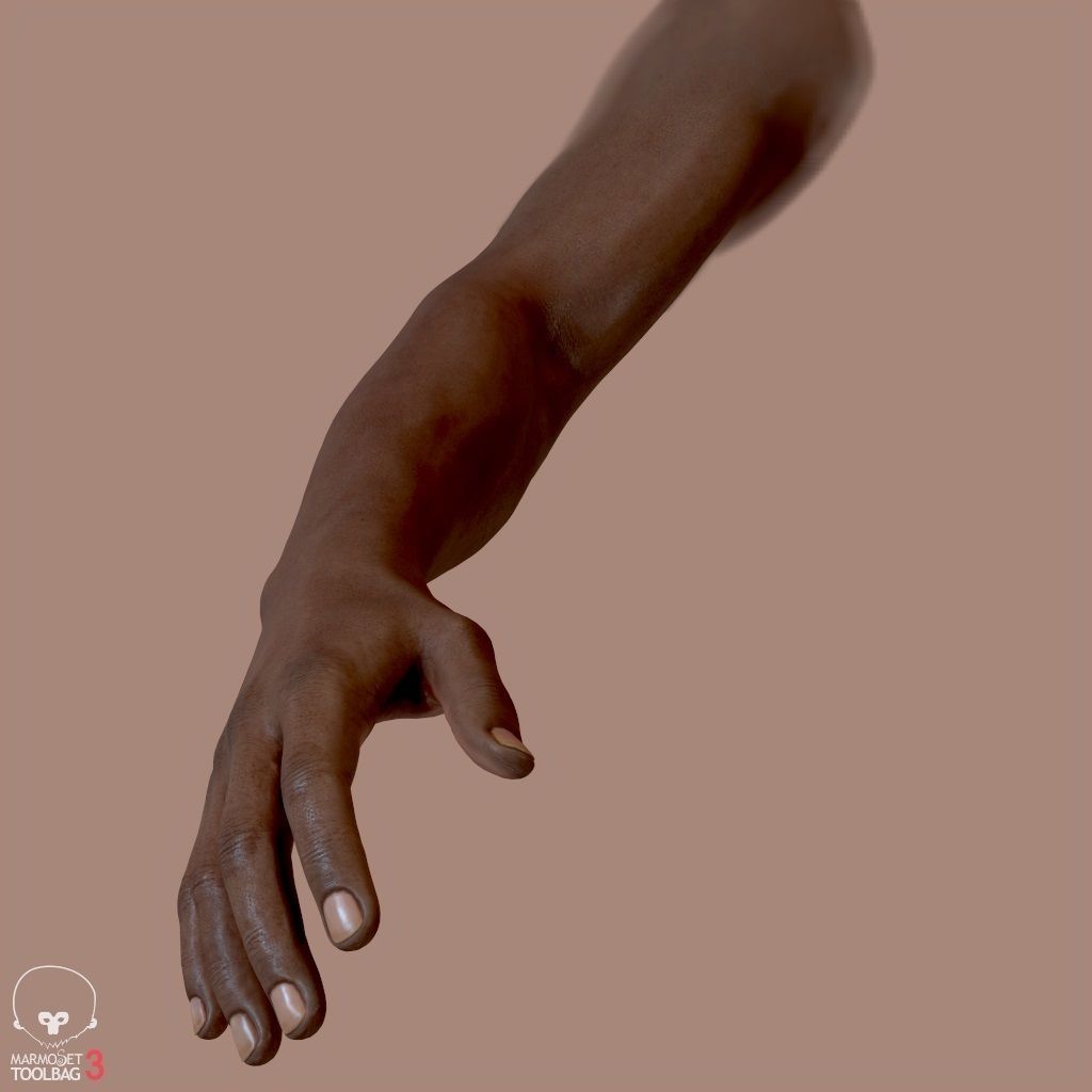 First Person Arms Low-poly 3D model_12