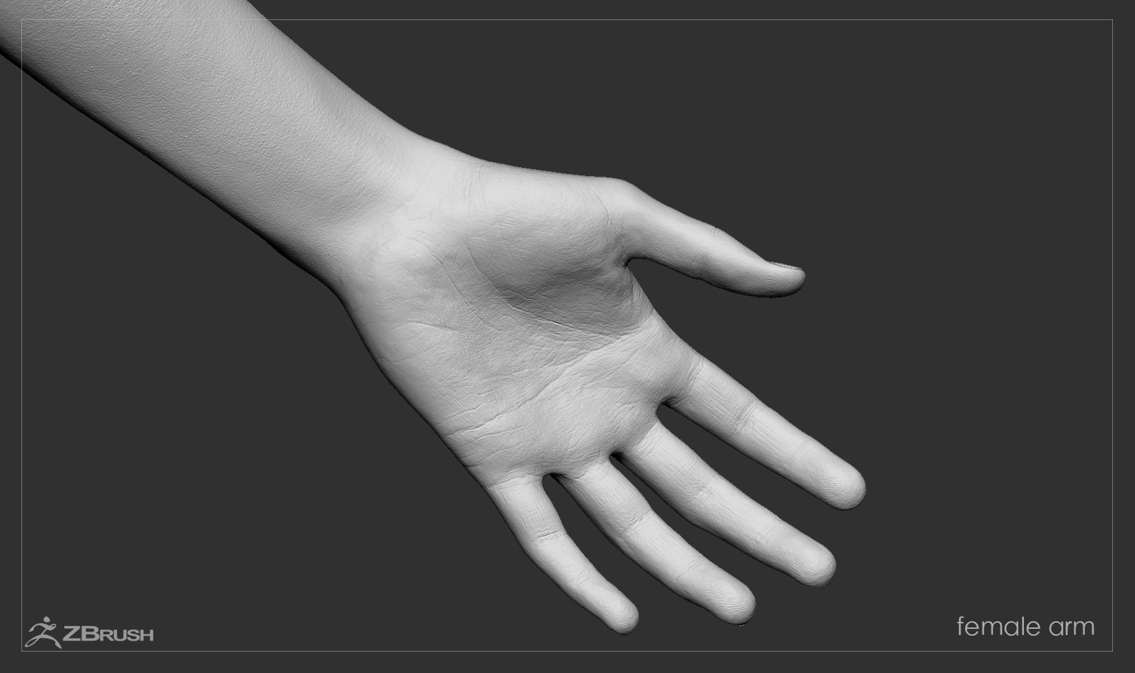 First Person Arms Low-poly 3D model_44