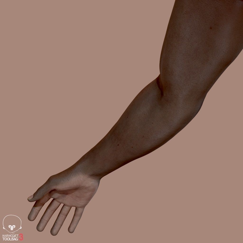 First Person Arms Low-poly 3D model_18