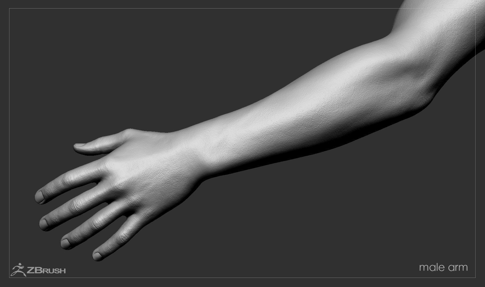 First Person Arms Low-poly 3D model_48