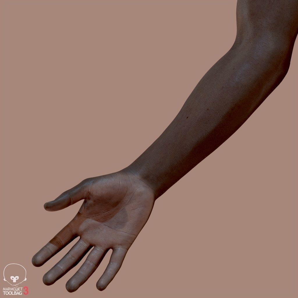 First Person Arms Low-poly 3D model_14