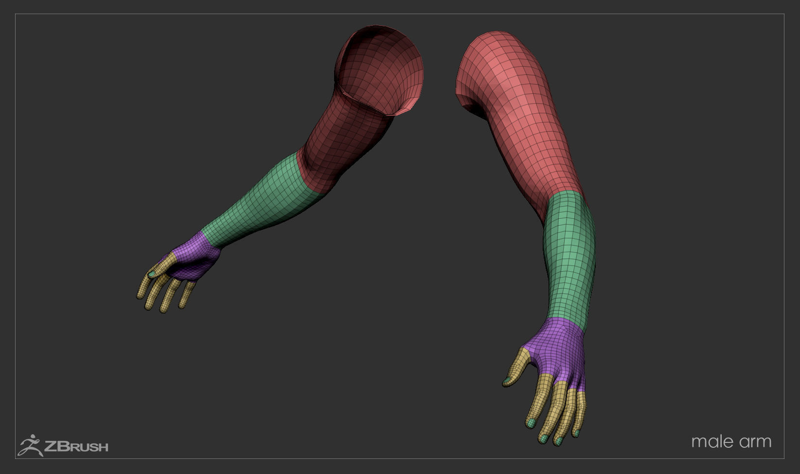 First Person Arms Low-poly 3D model_45