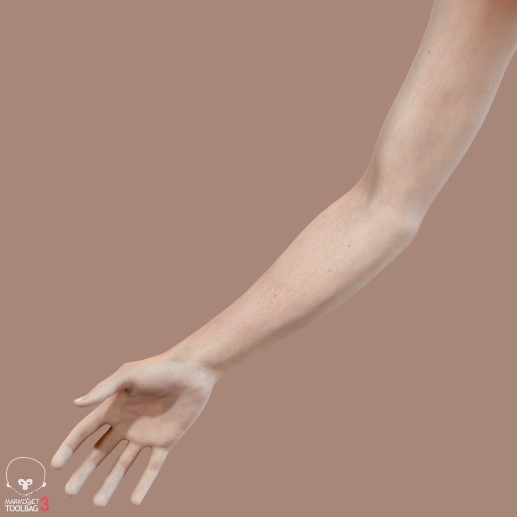 First Person Arms Low-poly 3D model_34