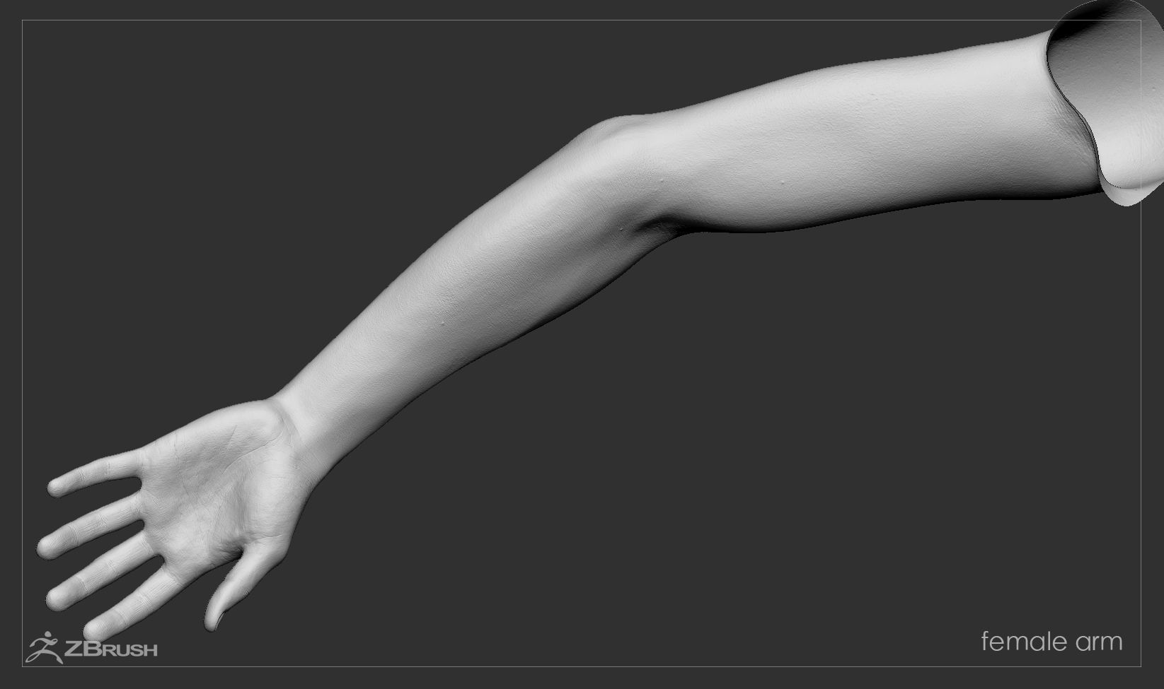 First Person Arms Low-poly 3D model_41