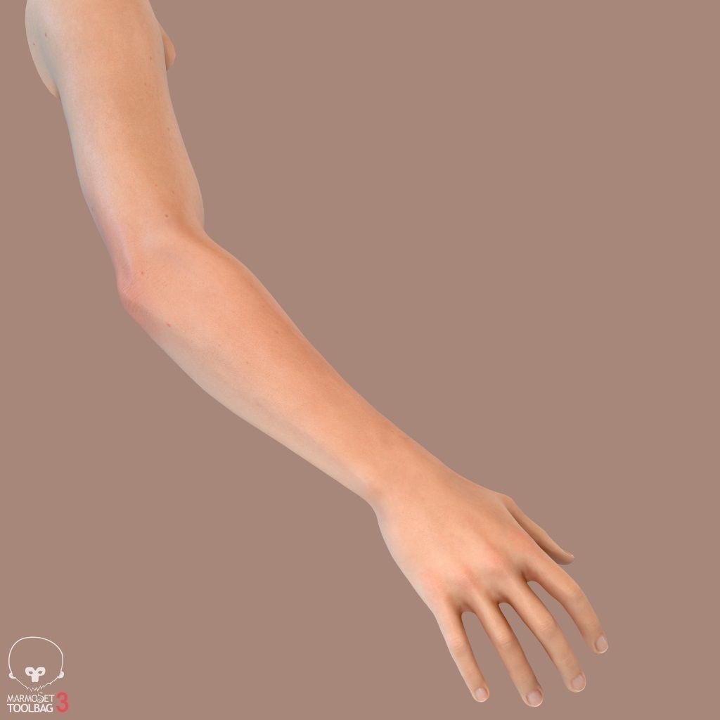 First Person Arms Low-poly 3D model_20