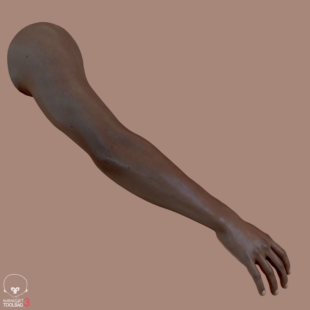 First Person Arms Low-poly 3D model_10