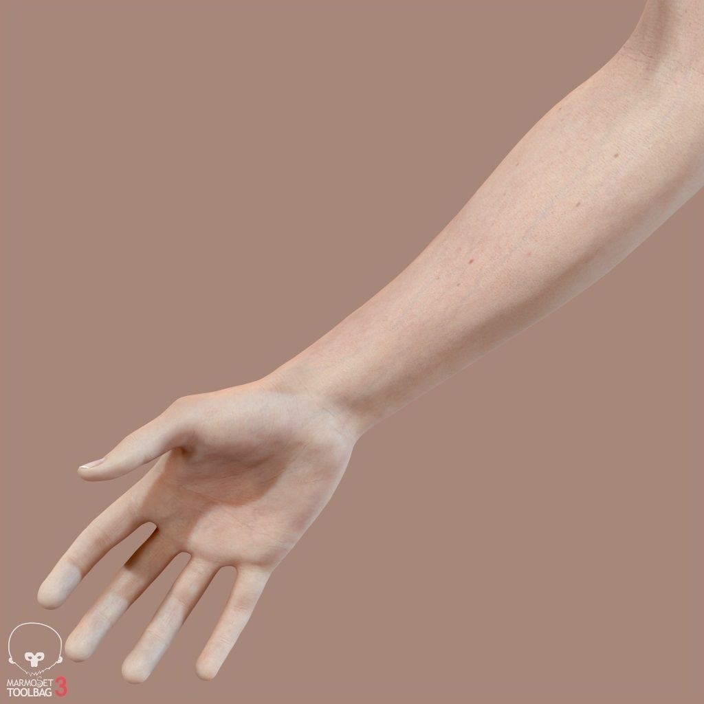 First Person Arms Low-poly 3D model_31