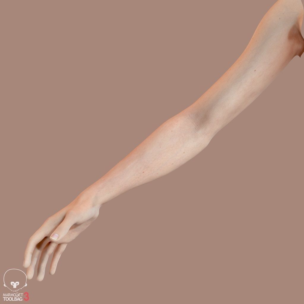 First Person Arms Low-poly 3D model_23