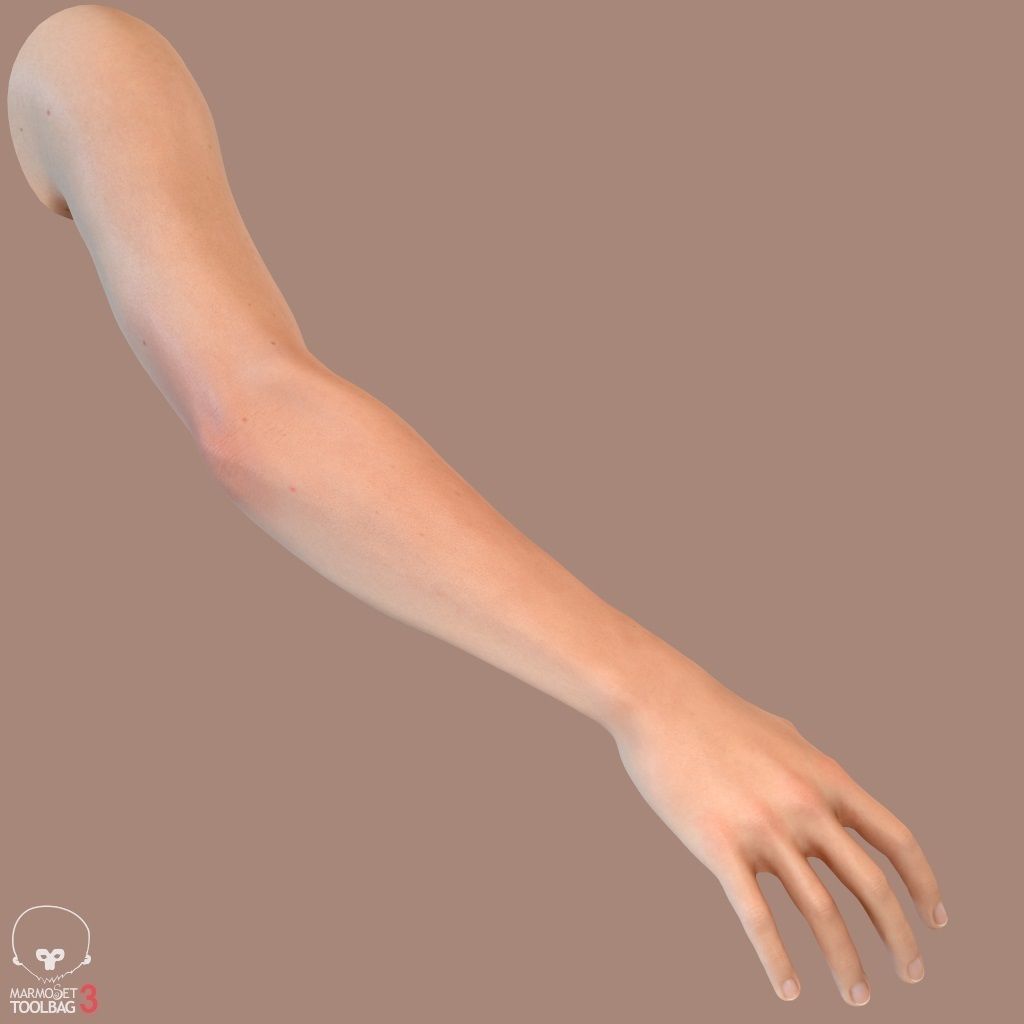 First Person Arms Low-poly 3D model_27