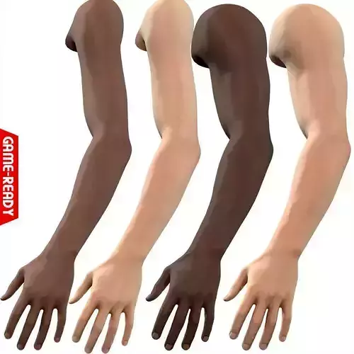 First Person Arms Low-poly 3D model