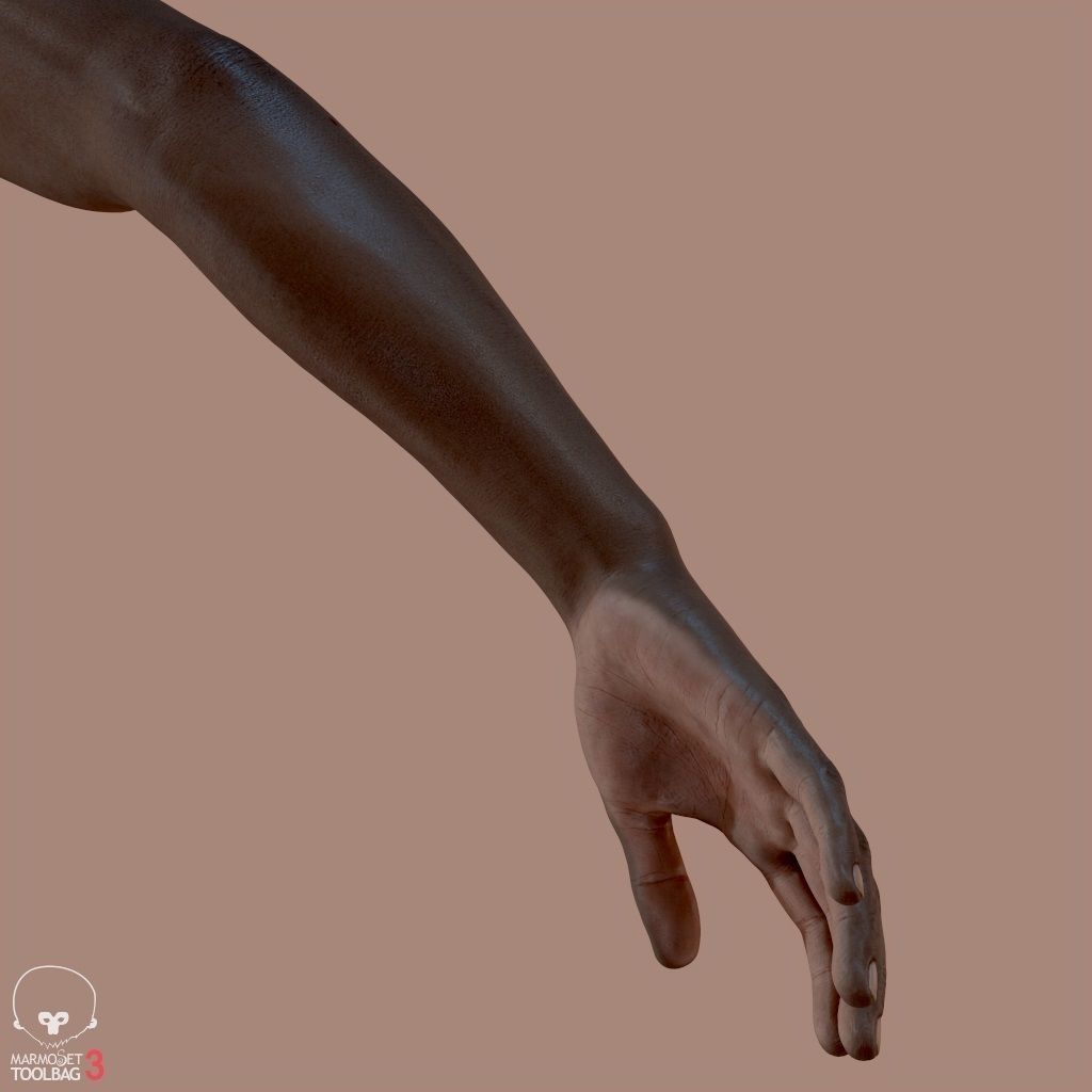 First Person Arms Low-poly 3D model_15