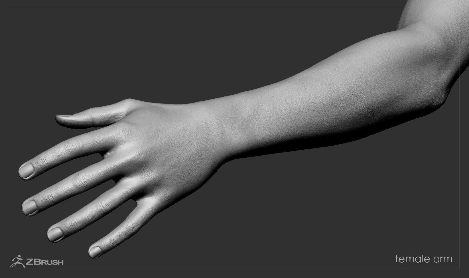 First Person Arms Low-poly 3D model_40