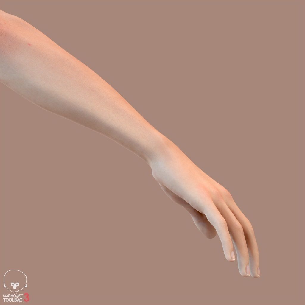 First Person Arms Low-poly 3D model_32