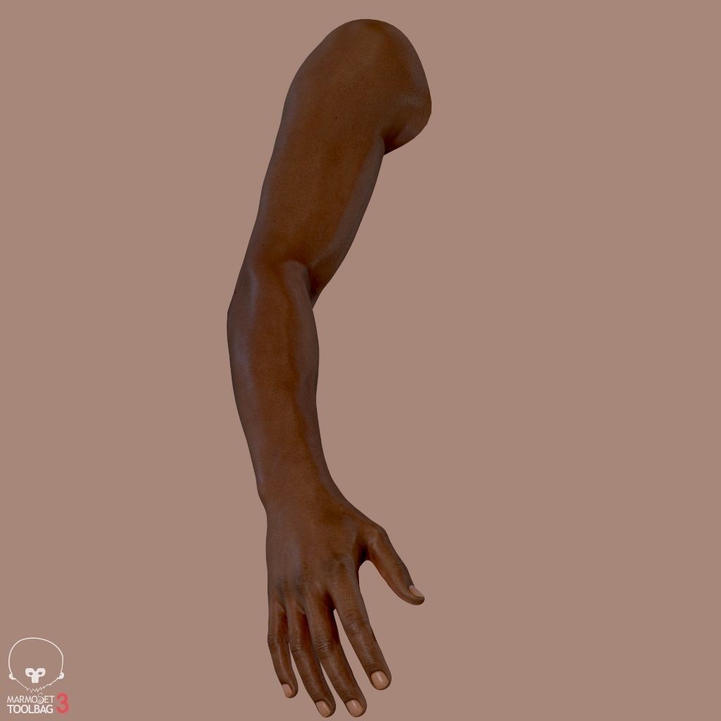 First Person Arms Low-poly 3D model_4