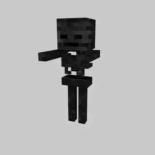 MINECRAFT WITHER SKELETON
