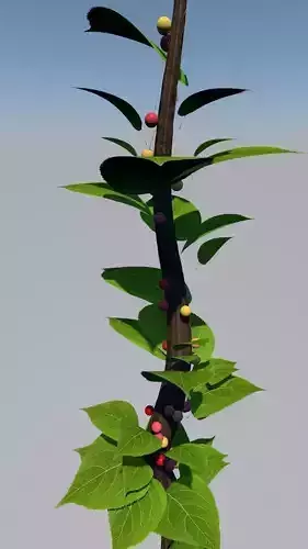 simple cherry wood branch