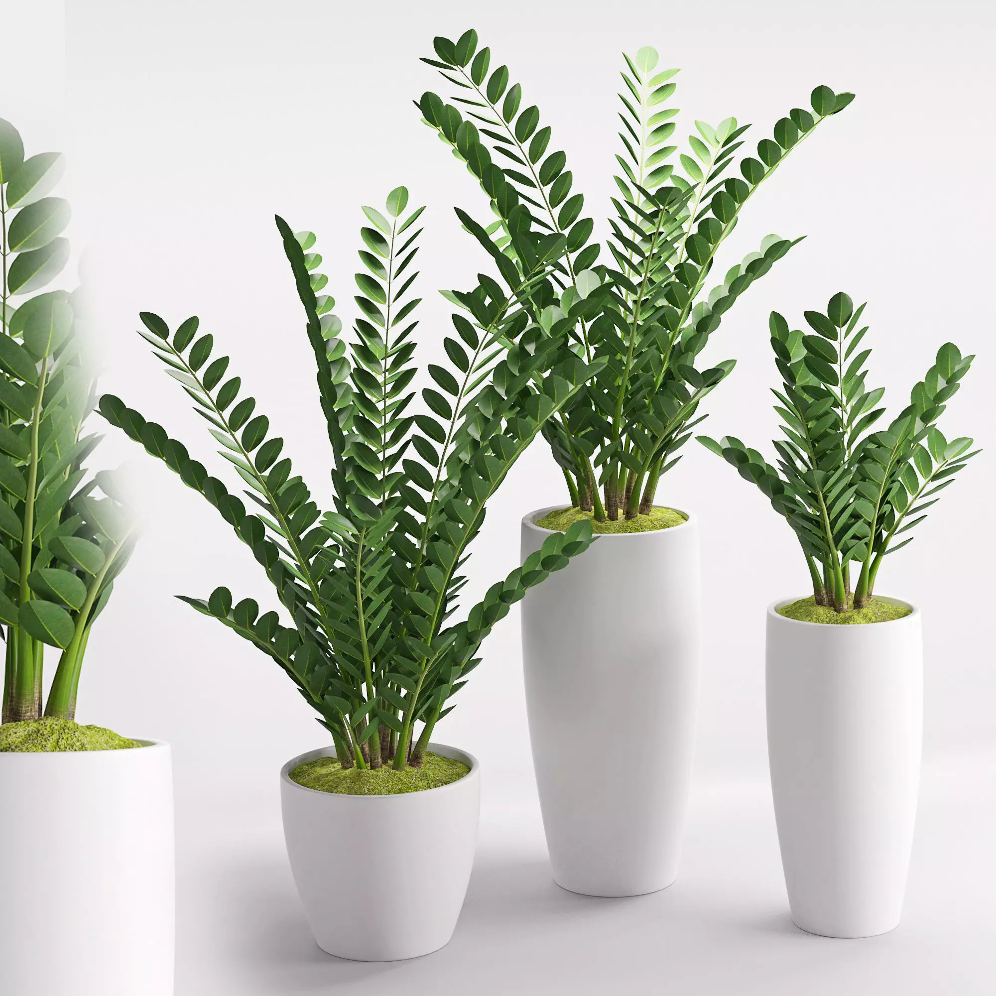 Houseplant 25 3D model_0