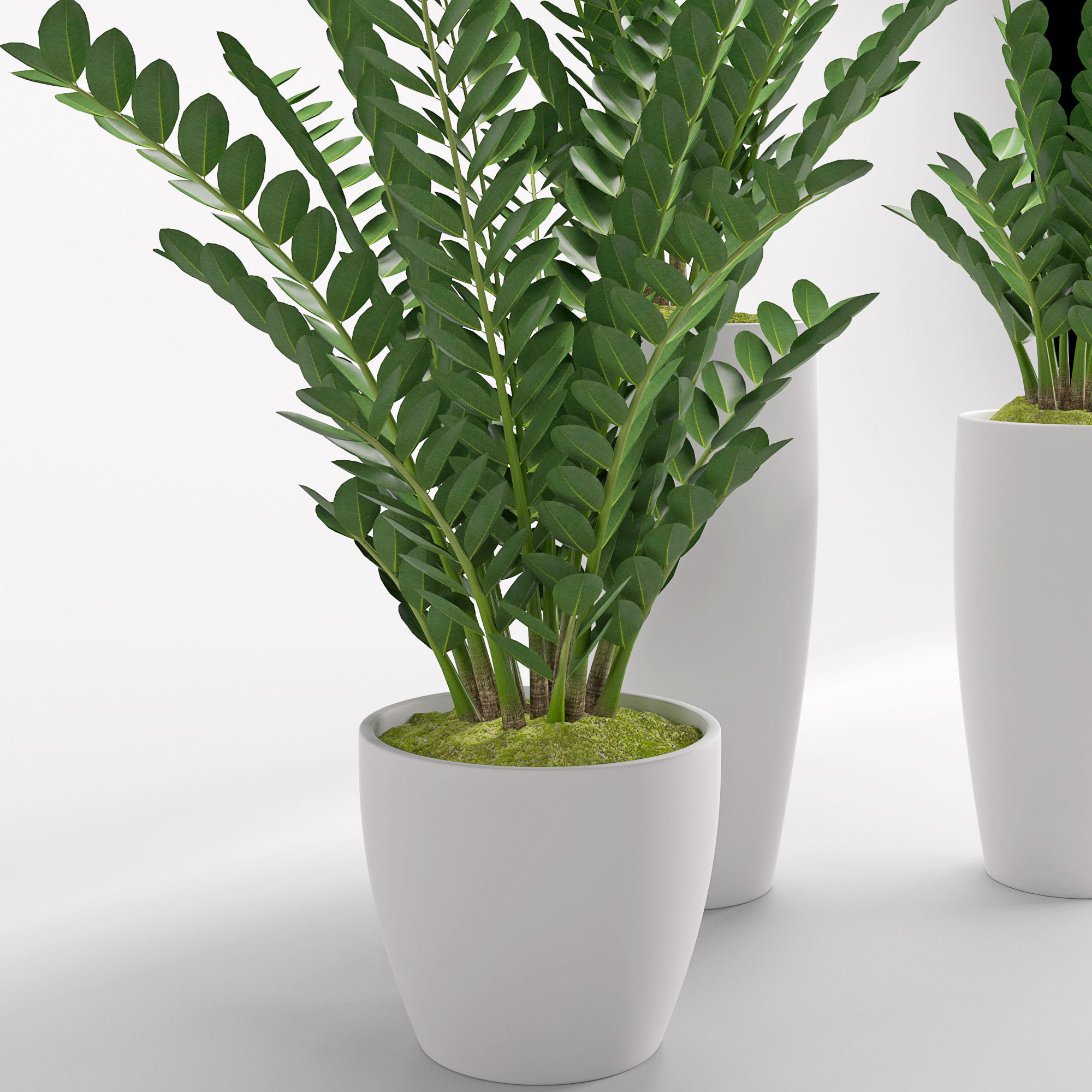 Houseplant 25 3D model_2