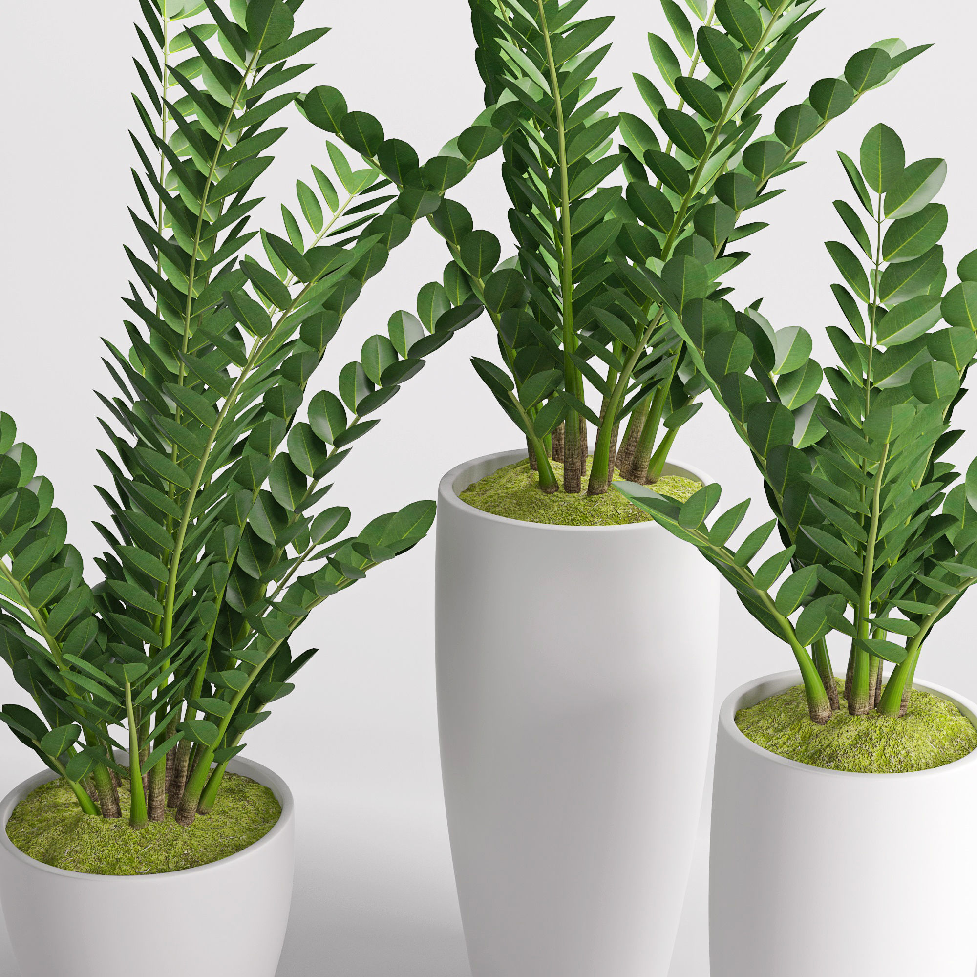 Houseplant 25 3D model_5