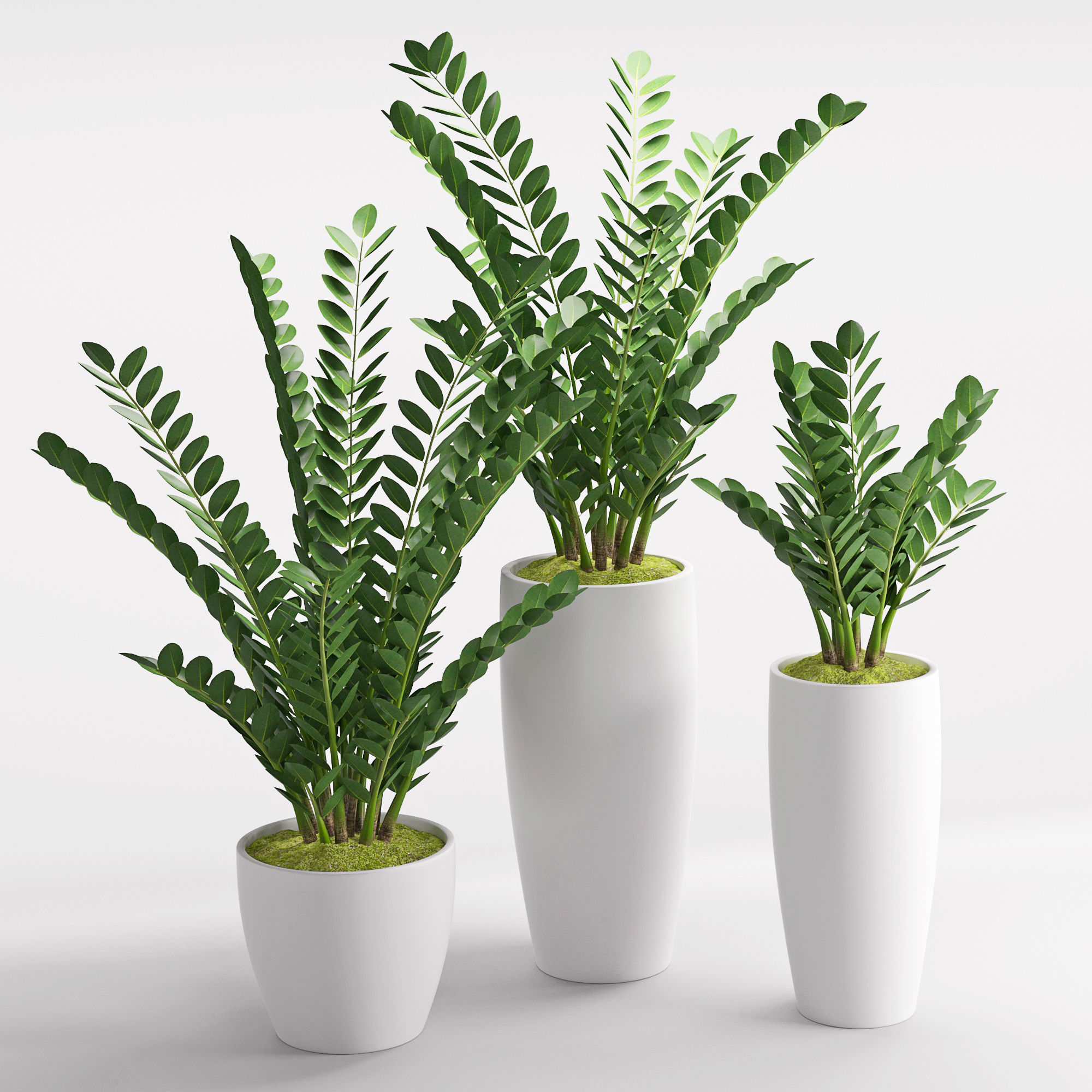 Houseplant 25 3D model_4
