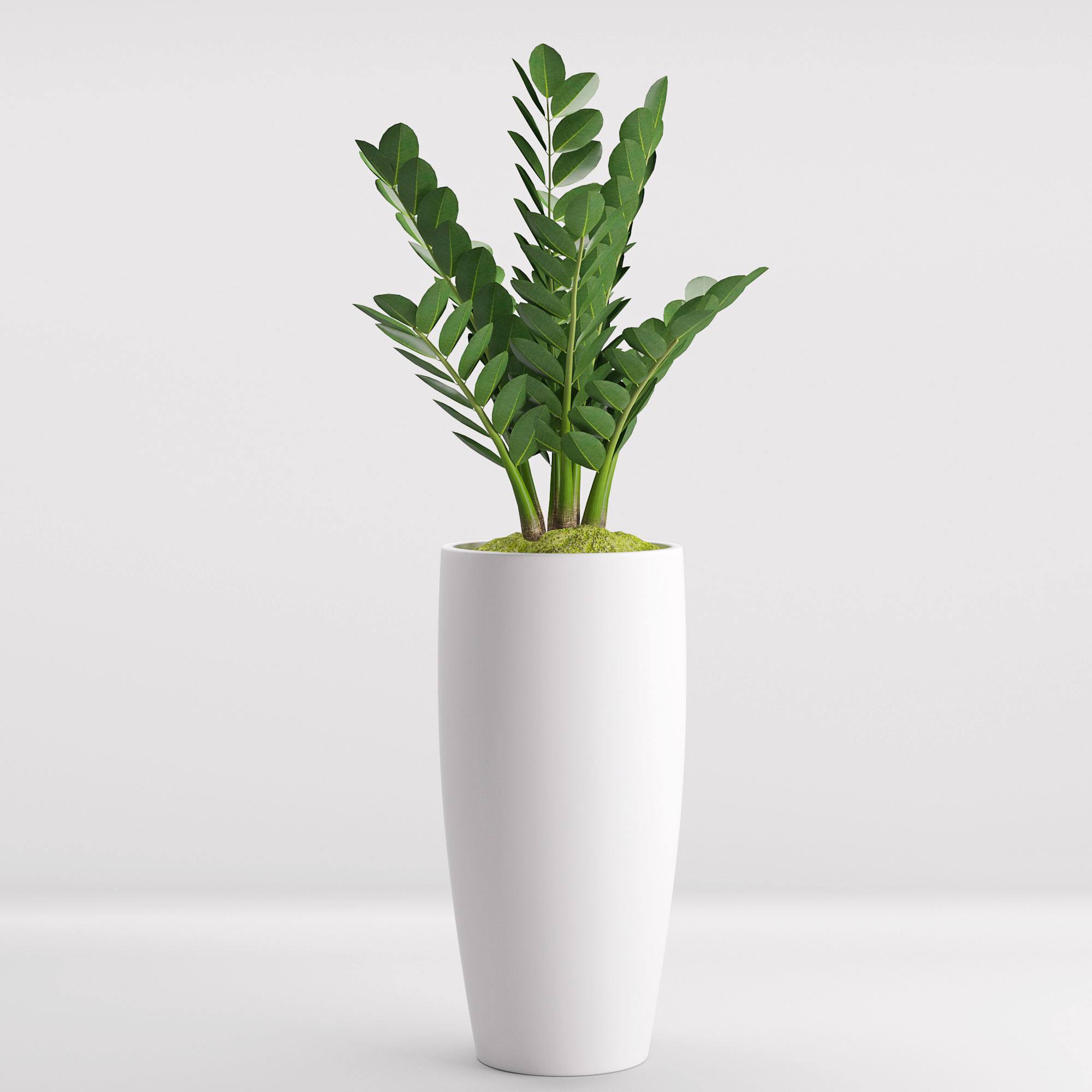 Houseplant 25 3D model_1