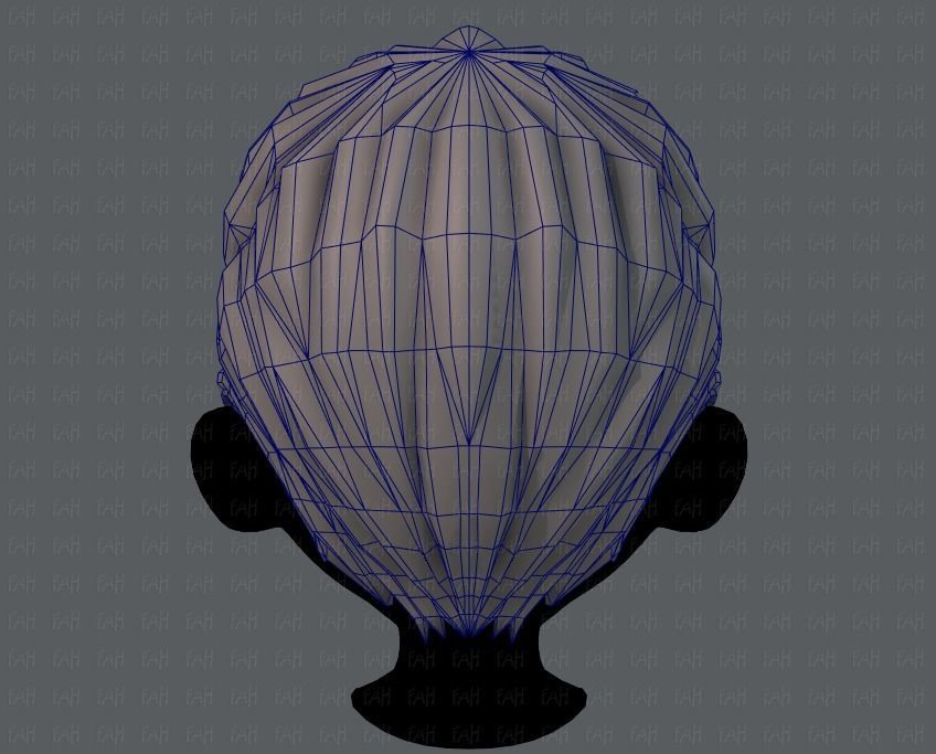 3D Hair style for boy V10 Low-poly 3D model_29