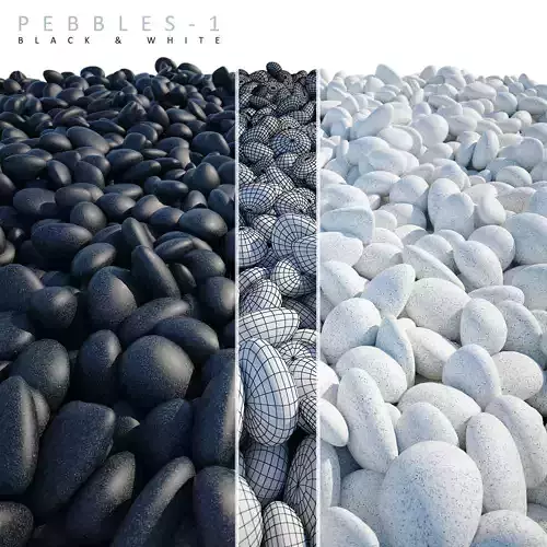 PEBBLES-1 pebbles 3D model