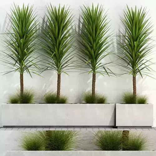 Plants collection 105 3D model