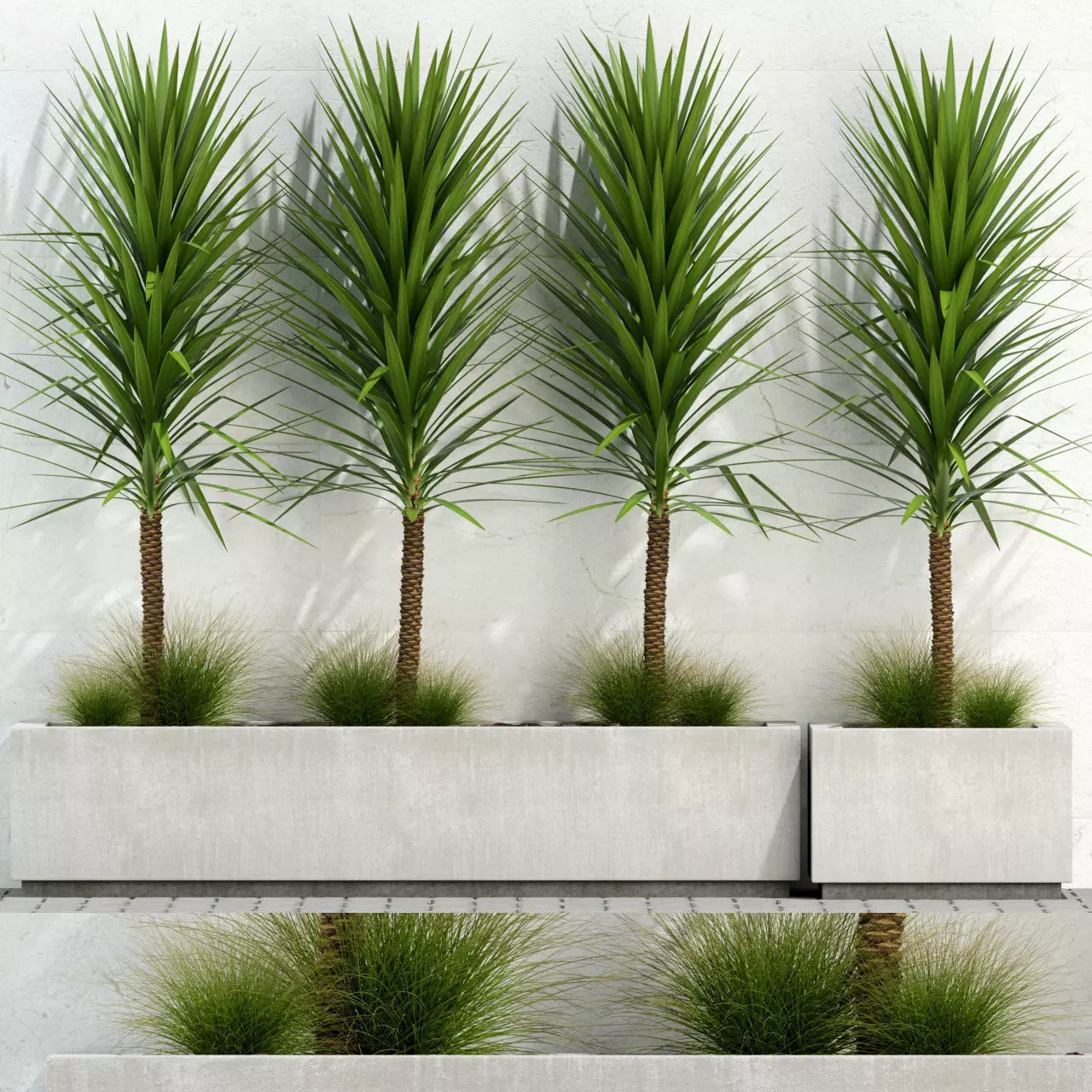 Plants collection 105 3D model_0