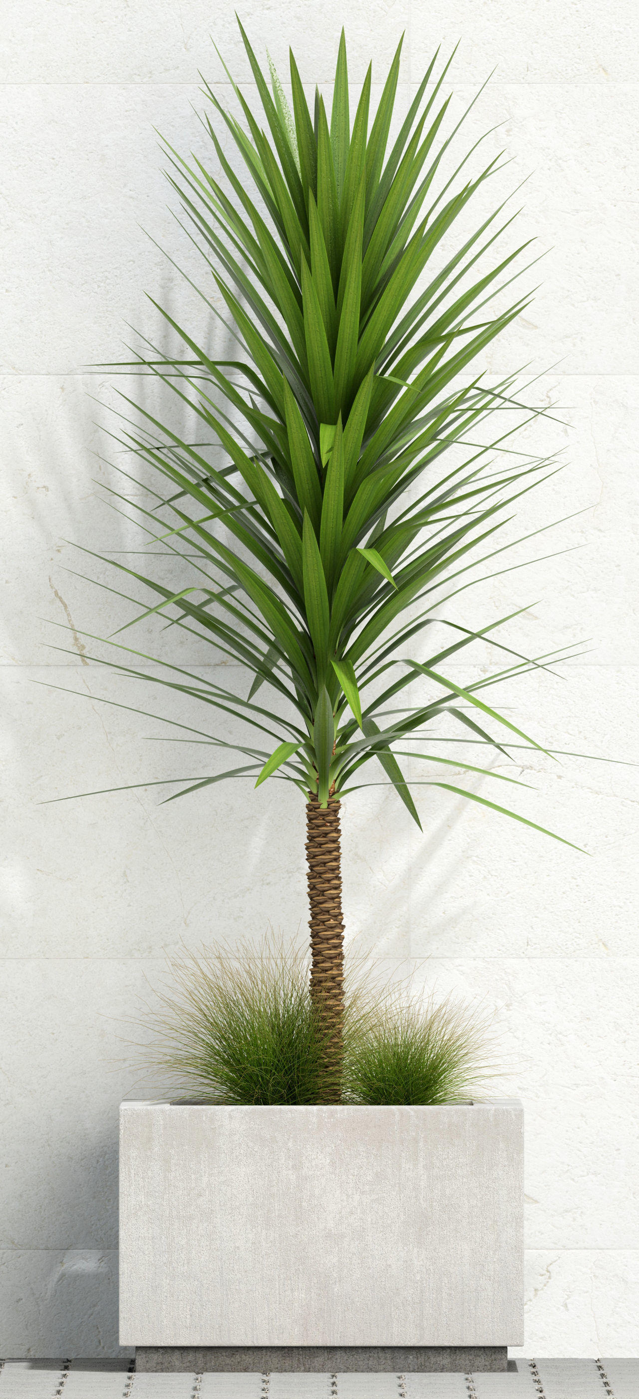 Plants collection 105 3D model_1