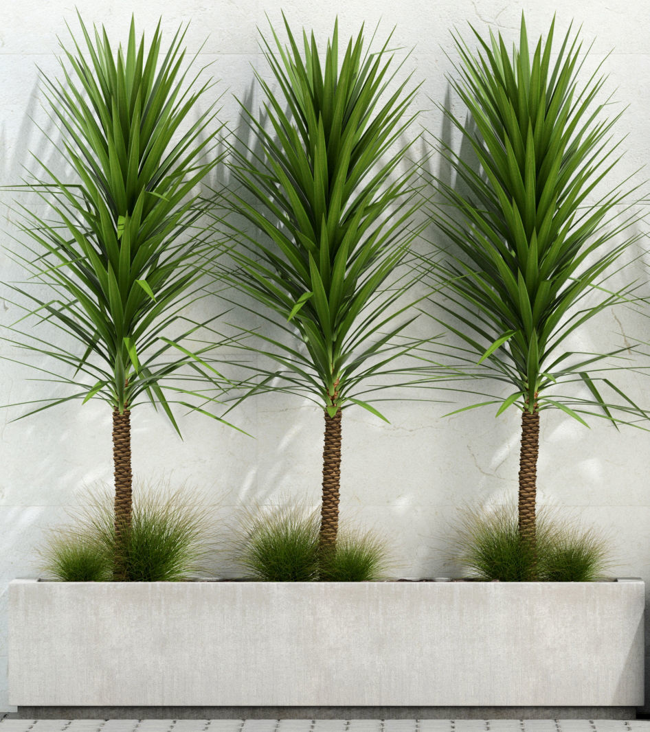 Plants collection 105 3D model_2