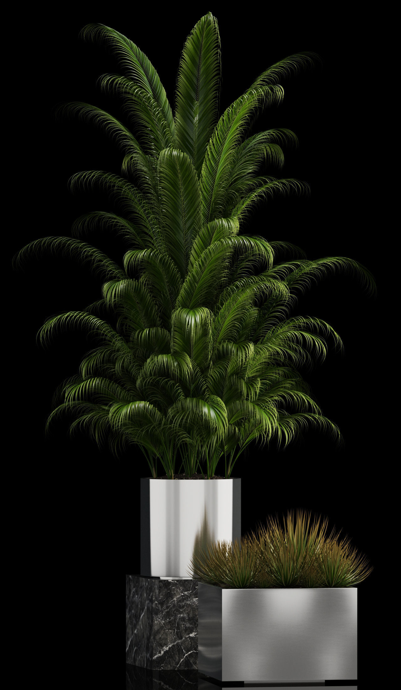 Plants collection 106 3D model_2