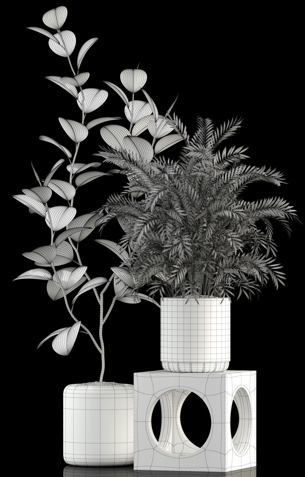 Plants collection 106 3D model_3