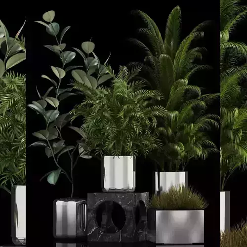 Plants collection 106 3D model