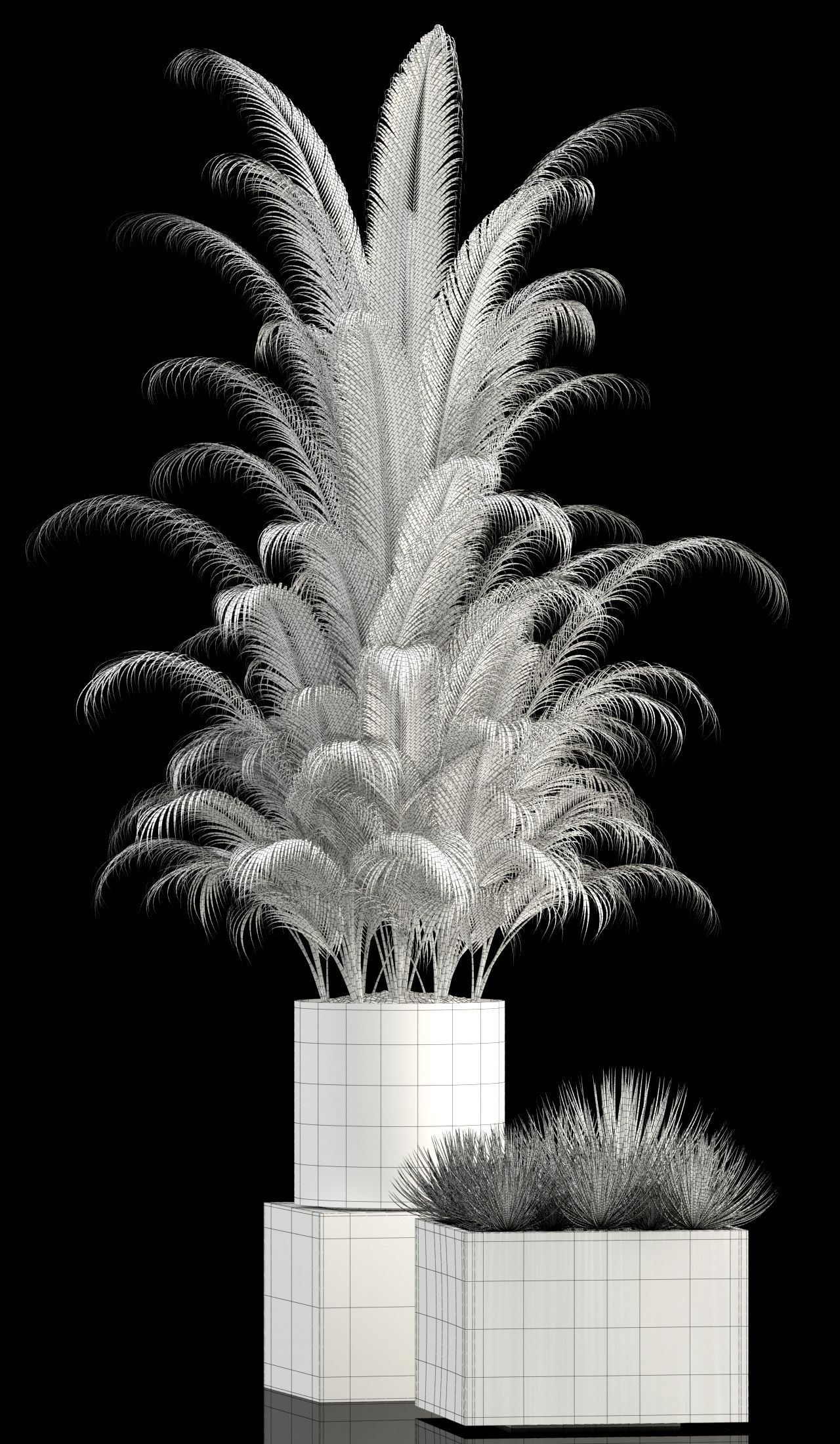 Plants collection 106 3D model_4